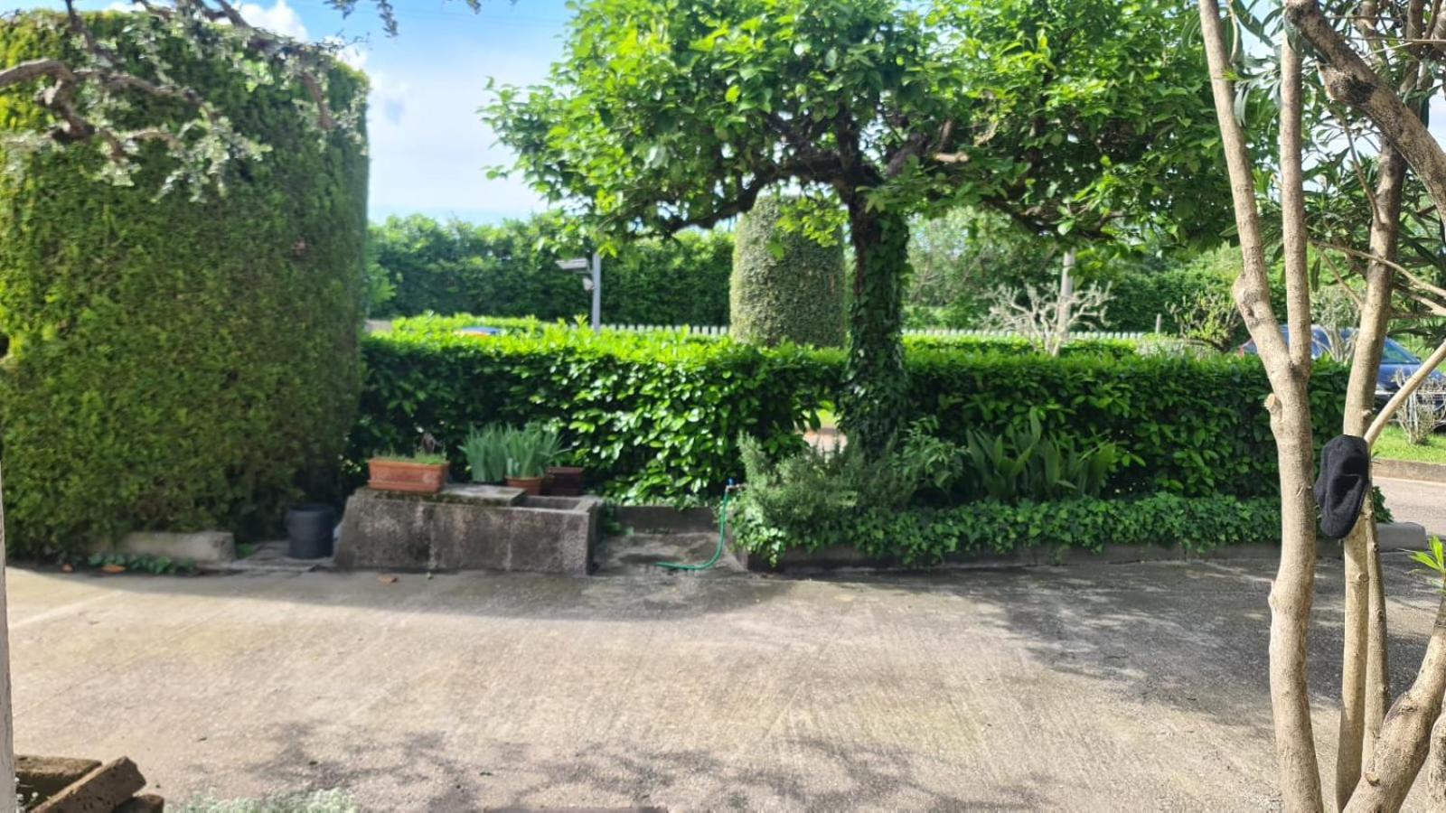 B&B Via Del Cristo Padova Ngoại thất bức ảnh